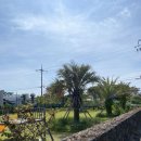 글라드 세화 | 제주도 추천 대가족 숙소 세화해변에 위치한 대형 독채 글라드세화