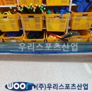 다산 체육관 이미지