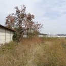 구작경로당 이미지