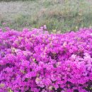 곤양축구장 이미지