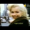 세기광고 이미지