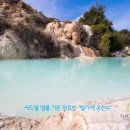 실로암유통 이미지