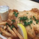 놀러와 피시 이미지