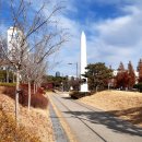 포항철길숲 이미지