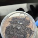 하이오커피아시아선수촌점