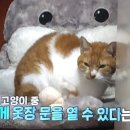 은영농장 이미지