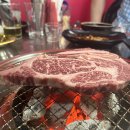 광호축산 티스토리