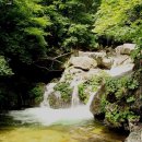 명지산 군립공원 공중화장실 Daum카페