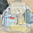 유럽여행 쿠팡 준비물 유용한 템 | 소매치기 방지 가방 네이버 올영 쇼핑