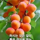 오늘의 날씨 (12월 8일 월요일) (719기 D-4) (720기 입영 1일차) 이미지