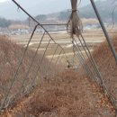 마이산골힐링팜
