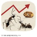 스탑 이미지