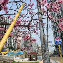 마하수리학원 | 연산동 황령산 사찰 절 마하사