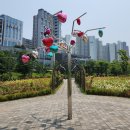 미사호수공원3 티스토리