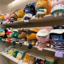 프렌즈 아카데미 이미지