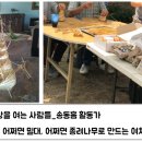 안수영농장 이미지