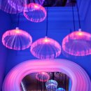 운중로146번길 이미지