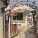 872 | 김천 연화지 벚꽃 시즌, 근처 맛집 교동872 아이랑 다녀온 후기