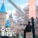 꽃;핌 | 메이플 보러 갔는데 "롯데월드에 벚꽃이 활짝 핌"