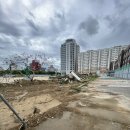 선화초교 이미지