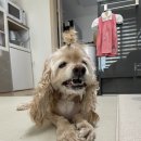 해덕수산