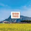 제주도 동부 네이버블로그