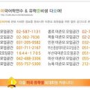 Re:휴스톤 근처 어학연수 기관 상담 이미지