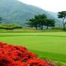 삼일회원권거래소