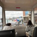 고래PC | 울산 장생포 고래마을 부산 근교 아이랑 아기랑 가볼만한곳 즐기기