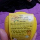 바비펫샵 | [바비펫] 레몬 화이트닝 수면팩&amp;플라워티 워터프루프 립앤아이 리무버(나에게x를 줬어..)