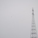 제이샵 커피 이미지