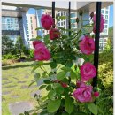 알리르마리산후조리원 이미지