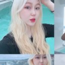 씨모어씨 이미지