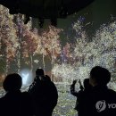 숲사랑(산불방지)홍보관 이미지