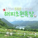 덕현목장 4농장 | 춘천여행 가볼 만한 곳 해피초원목장 | 스위스 같은 감성 동물농장 체험