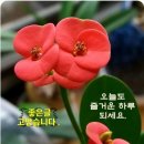 어머니의 마음 이미지