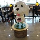 포포앤미루 강동점 이미지