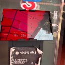 경기도 양평군 용문초등학교 | 어디서도 잘자는 차박러버들의 양평 광탄리 유원지 노지 차박후기, 개군할머니 토종순대국