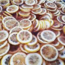 진해여자중학교 이미지