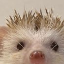 남부동물병원 이미지