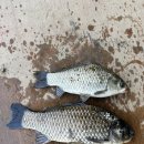 수신낚시터 이미지