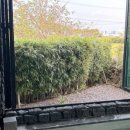 판포길담 이미지