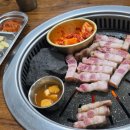 한잔하면돼지