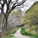 한라수목원 이미지