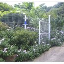 김광수농장 이미지