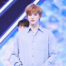 화이트워싱 이미지