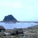 불모도