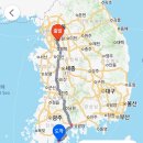 봉암리(남) | 강아지 데리고 제주도 가기 첫날 고흥녹동항에서 제주항 그리고 산방산숙소까지