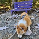 상덕농장 이미지