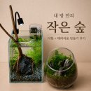 요나쿠아 | ★ 안산 '요나쿠아' 힐링데이트 수초어항과 테라리움 원데이클래스 후기